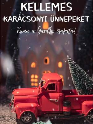 Kellemes, szeretetben gazdag karácsonyi ünnepeket kíván Mindenkinek a GardIn csapata! 🎄💚🎄