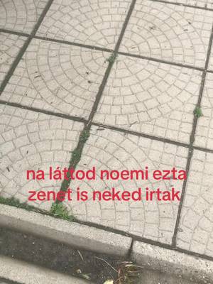 ##bazdkiforyuba #kozoldujra 