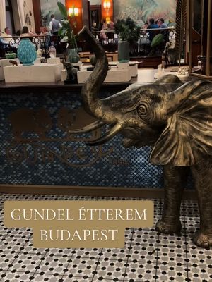 | Hirdetés | ✨ Egy ikonikus budapesti étterem, amit legalább egyszer mindenkinek érdemes kipróbálnia! 🍽️ Nem véletlenül számít a Gundel az egyik legismertebb étteremnek Magyarországon. Az elegáns környezet, a figyelmes kiszolgálás és a fantasztikus ételek együtt igazán különleges élményt nyújtottak. A nyári időszakban pedig a Gundel Kert is várja a vendégeket, ahol egy gyönyörű, zöld környezetben lehet elfogyasztani az ebédet vagy a vacsorát. 🌿☀️ Köszönöm a meghívást, nagyon jól éreztem magam! ❤️ @gundel_restaurant  #reklám #gundel #restaurant #budapest #finedining 