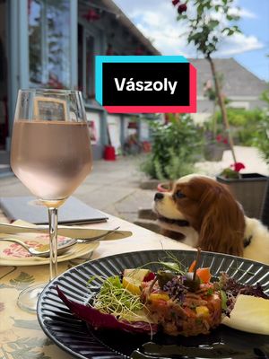Imádom ezeket a hangulatos falukat. Vászolyban jártunk, sétáltunk egyet a Szent Jakab forrásn, majd ebédeltünk egyet a Cvekedli étteremben. Ti jártatok már itt?  #balaton #vaszoly #tiktokhungary #hungary #fy 