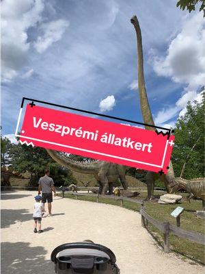 Jöhetnek az extra jó állatos képek kommentbe!🦉🦕🐘🦒  #zoo #veszprém #állatkert #familytime #animals 