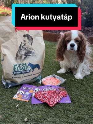 @Innomarket.hu állatfelszerelés haul következik😀  Használd a Timu10 kuponkódot és 10 % kedvezménnyel tudsz vásárolni kedvencednek az www.innomarket.hu oldalon. Az Arion prémium termékeket is megtalálod a honlapon, de számos kiegészítőből is tudsz választani. Kommentben pedig jöhetnek a kutyás képek😍 #arion #innomarket #kutyatiktok #pusztuljonforyouba #nekedbelegyenmost 