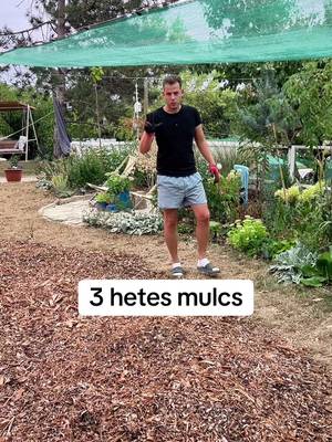 Mi van a mulcs alatt?🌳 #kert #Kertészkedés #növény #faültetés #mulcsolás 