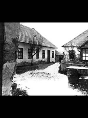 A HORDÓK, AMIKBEN A RÉMÜLET LAPULT – BÉLA KISS Cinkota, 1916. Egy ház udvarán évek óta hordók sorakoztak. Azt mondták, benzint rejtenek bennük. Amikor azonban a rendőrök felnyitották őket, egy olyan titokra derült fény, amely örökre összekapcsolta a hordókat Béla Kiss nevével. A történet azonban itt nem ért véget. Kiss eltűnt, később pedig újra és újra felbukkantak a hírek arról, hogy talán még életben van. Mi történt valójában Béla Kiss-el?  🔎 TÉNYVONAL  Amit elhallgattak. Amit nem tudunk. Amit keresünk. #tényvonal #truecrime #bélakiss #cinkota #sorozatgyilkos #magyartruecrime #coldcase #rejtély #nekedbe #neked #fyp