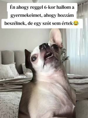 Néha túl korán szólnak az ébresztőim 🥲 #Meme #anyasagszepsegei  #CapCut #reggelikelés #mindenkinekforyoubaaaa 